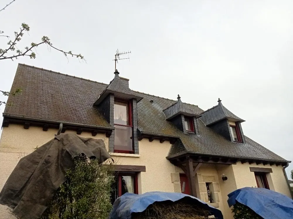 Démoussage toiture